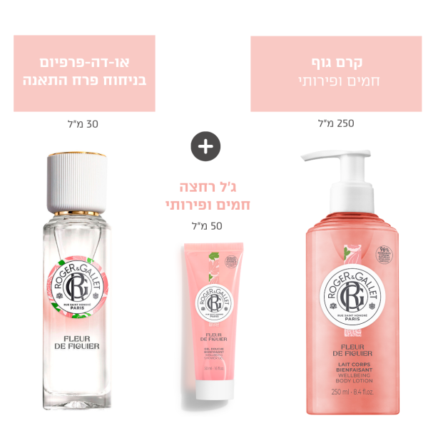 ‎⁨רוז'ה גלה פרח תאנה הפיתוי העדין